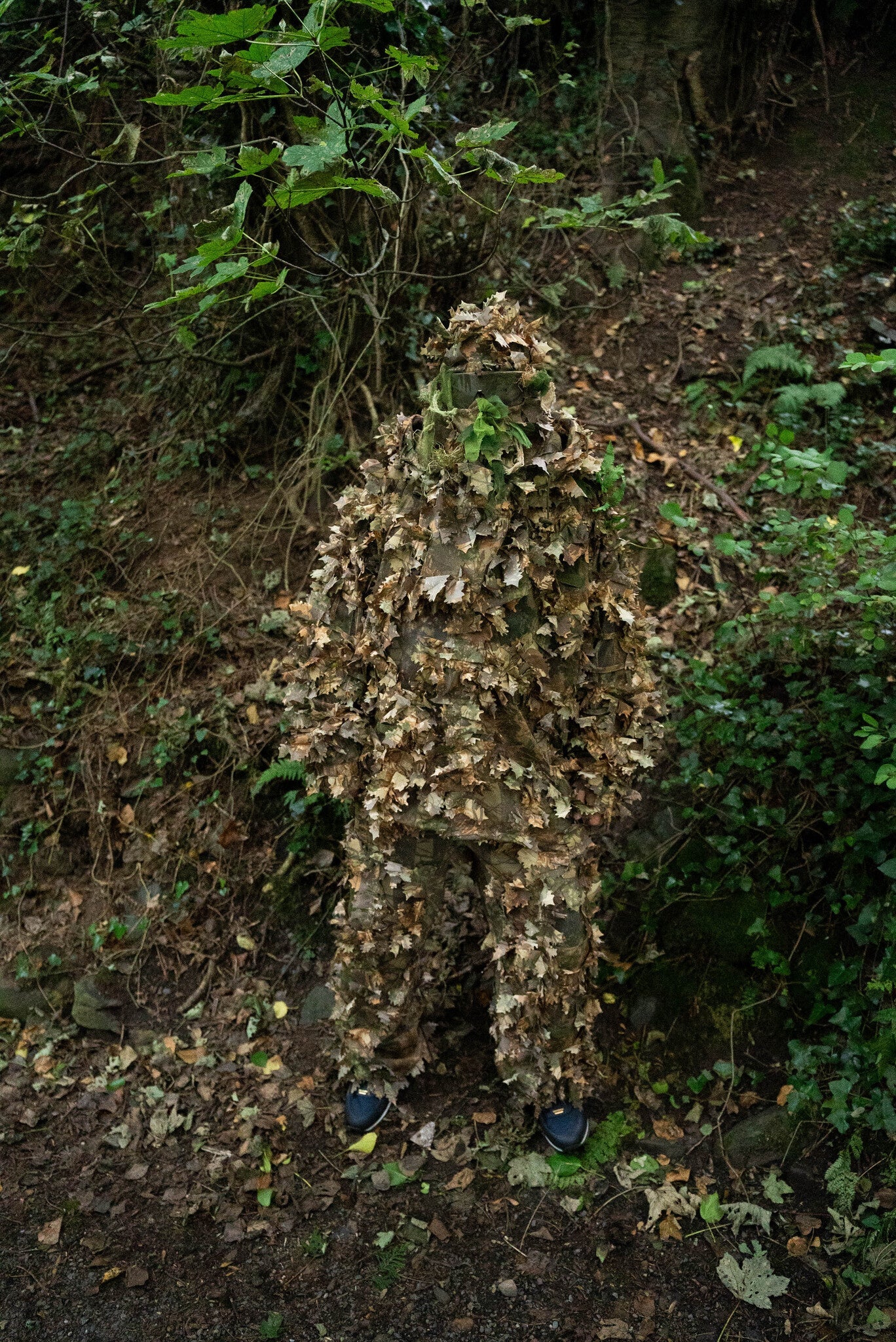Brown Oak - Brown Oak Leaf Suit