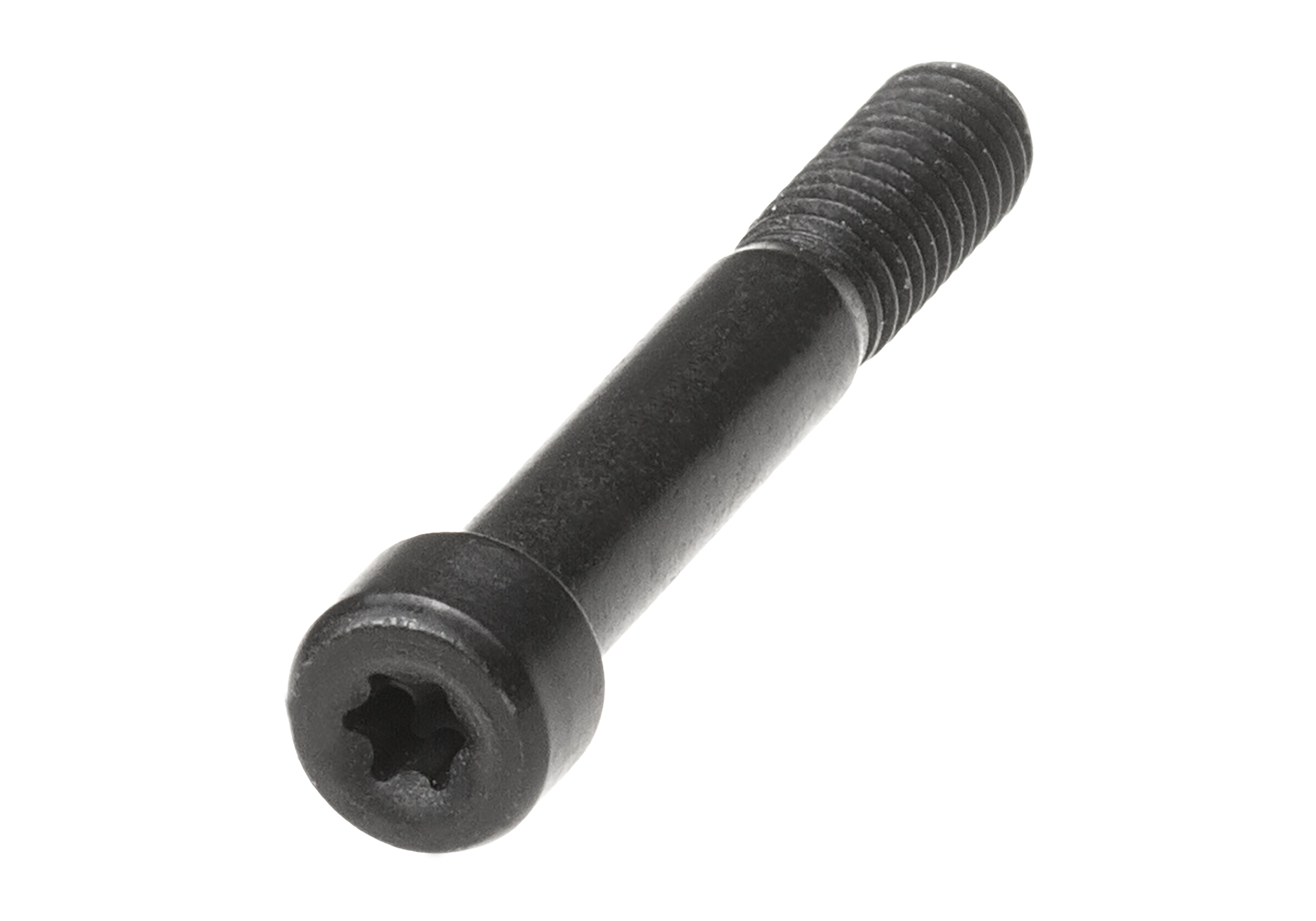 Holosun Torx Bolt (2026)