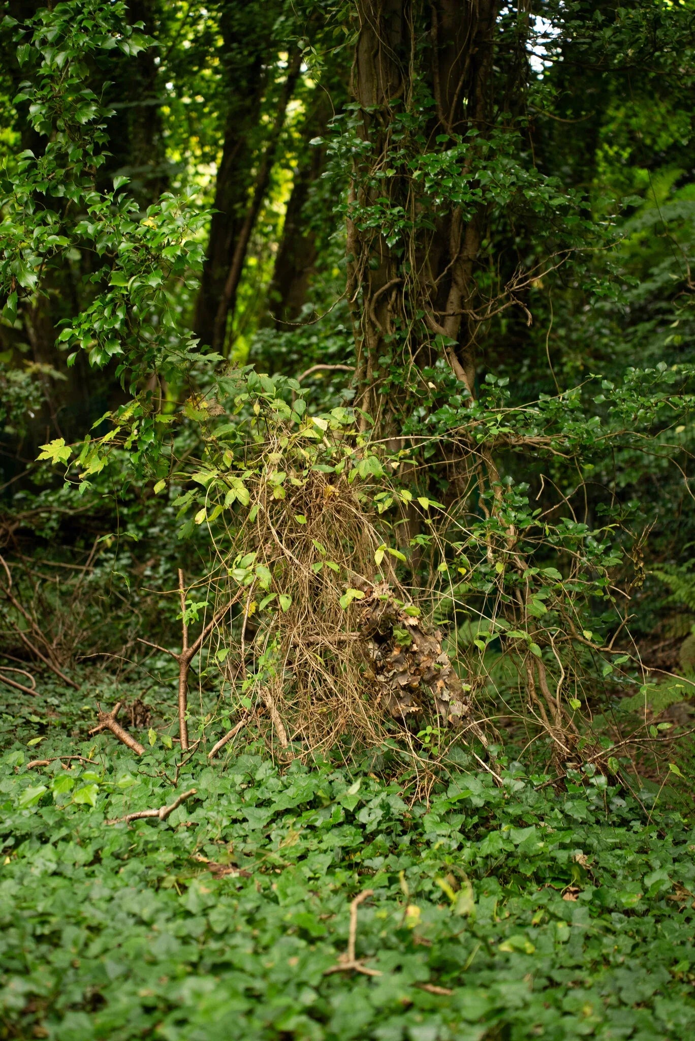 Complete Ghillie Packs