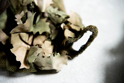 Viper Hood Alder - DSC_0178