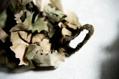 Viper Hood Alder - DSC_0178
