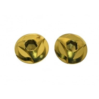 Stainless Steel Grip Screw - Gold